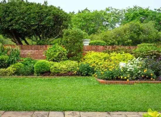 landscaping services North Wilkesboro